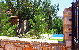 Villa (1) - Swimmingpool und Terrasse